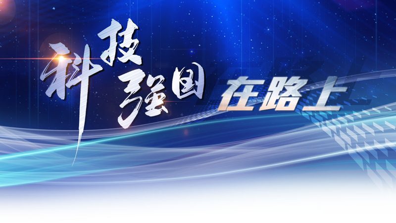 性能参数是衡量SAAS平台优劣的重要指标。在报价单中，需要关注以下参数：