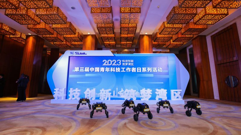 专精特新与高新技术企业认定：费用对比与选择解析